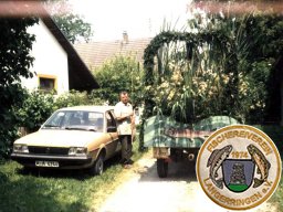 Festwagen