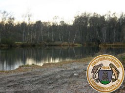 Biber am Birkensee