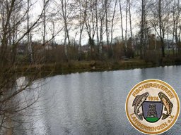 Biber am Birkensee