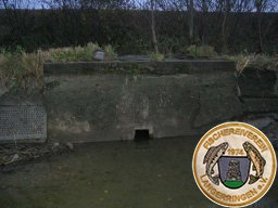 Instandsetzung Weiheranlage