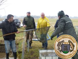 Auflösen Winterhälterung