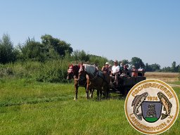 Ferienprogramm