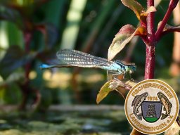 Flora und Fauna
