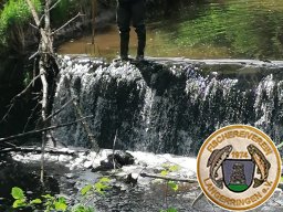 Reinigungsaktion Lüsslegraben